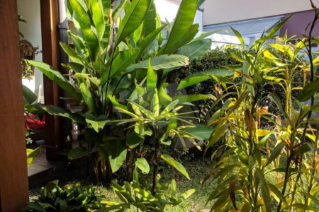 Sobrado à venda ou para alugar com 5 quartos, sendo 3 suítes, em Jardim Marajoara, São Paulo, SP