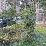 Apartamento para alugar com 2 quartos em Paraíso, São Paulo, SP