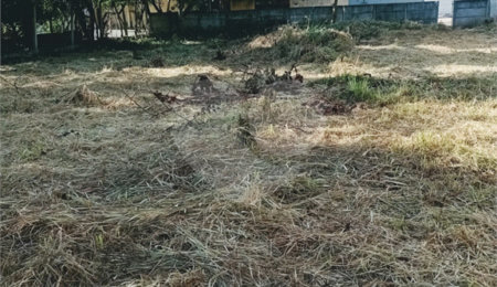 Terreno à venda em Loteamento Vale das Flores, Atibaia, SP