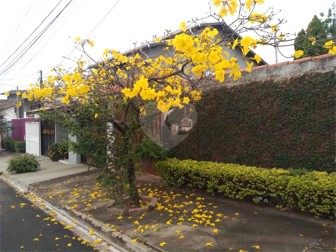 Sobrado à venda com 4 quartos, sendo 1 suíte, em Jardim Regina, Indaiatuba, SP