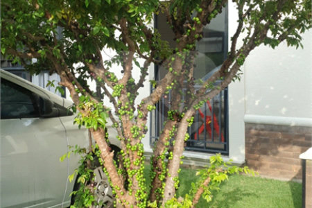 Casa à venda com 4 suítes no condomínio Vila Inglesa, Atibaia - SP