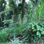 Terreno à venda no condomínio Gleba E2, Mairiporã - SP