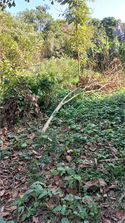 Terreno à venda em Vila Tramontano, São Paulo, SP