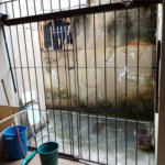 Sobrado à venda com 3 quartos, sendo 1 suíte, em Vila Guilherme, São Paulo, SP