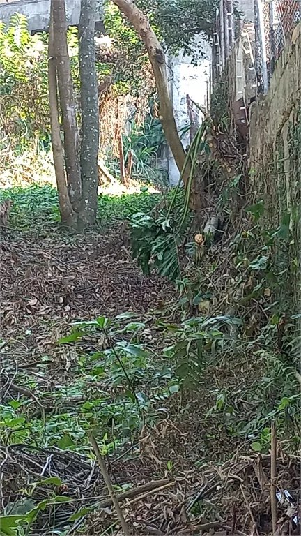 Terreno à venda em Vila Tramontano, São Paulo, SP