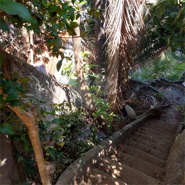 Terreno à venda com 5 quartos, sendo 1 suíte, em Vila Gustavo, São Paulo, SP