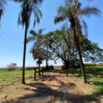 Terreno à venda em Recreio Anhangüera, Ribeirão Preto, SP