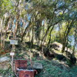 Terreno à venda em Jundiaizinho (terra Preta), Mairiporã, SP