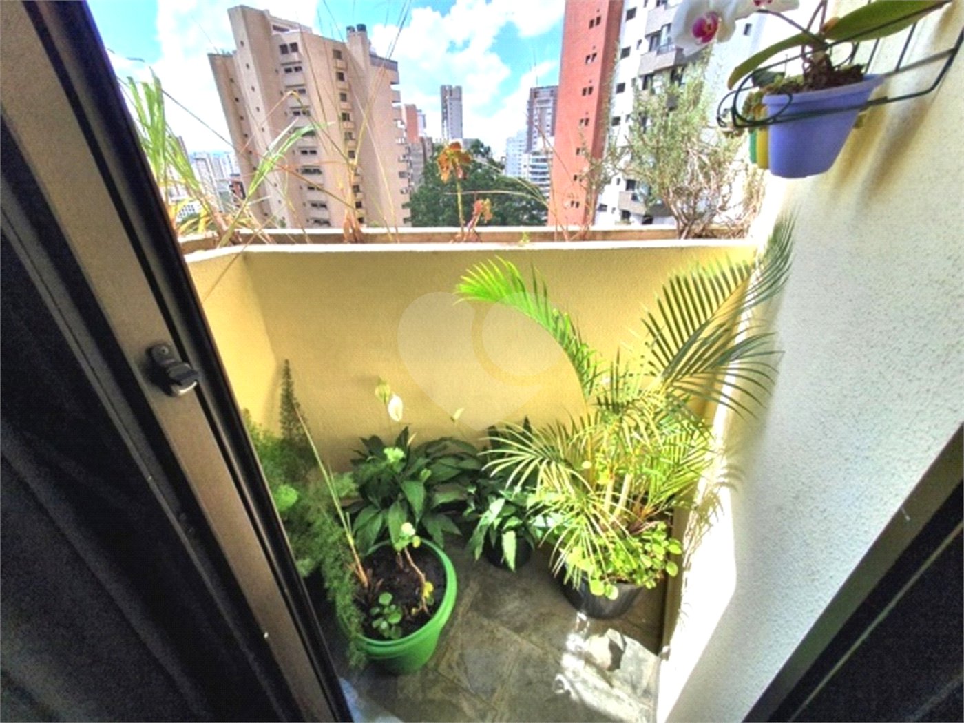 Apartamento à venda com 3 quartos, sendo 1 suíte, em Vila Suzana, São Paulo, SP