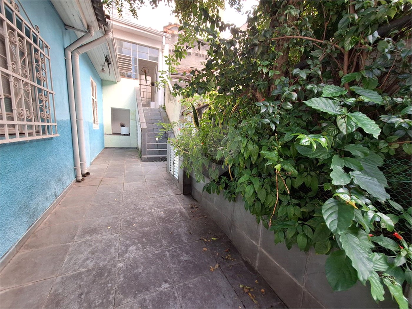 Casa Térrea à venda com 3 quartos em Santana, São Paulo, SP