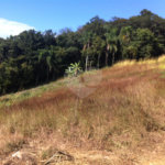 Terreno à venda em Tremembé, São Paulo, SP