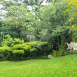 Casa à venda com 4 suítes no condomínio Espaço Natureza, São Paulo - SP