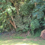 Terreno à venda no condomínio Associação Reserva das Hortênsias, Mairiporã - SP