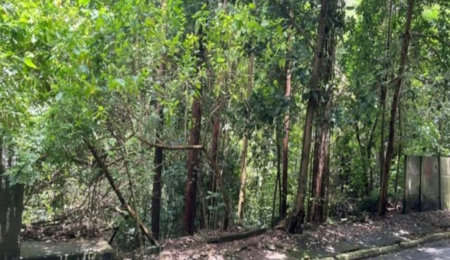 Terreno à venda em Jardim Ampliação, São Paulo, SP