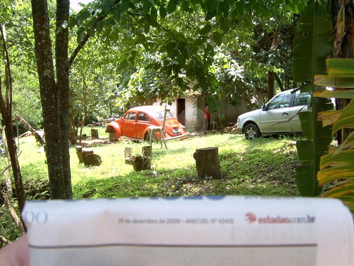 Casa Térrea à venda com 3 quartos em Vila Maria Alta, São Paulo, SP
