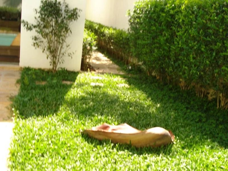Sobrado à venda com 4 quartos, sendo 2 suítes, em Fazenda Morumbi, São Paulo, SP