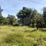 Terreno à venda em Campestre, Piracicaba, SP