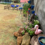 CHÁCARA DOS SONHOS 2.000m² - MAIRIPORÃ / PICO OLHO D'ÁGUA - 40 MIN DE SP