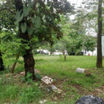 CONDOMÍNIO VALE DAS PALMEIRAS - CASA 3 QTOS + SUITE + PISCINA + GARAGEM 4 CARROS + ENERGIA SOLAR