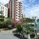 Sobrado à venda com 3 quartos, sendo 1 suíte, em Mandaqui, São Paulo, SP