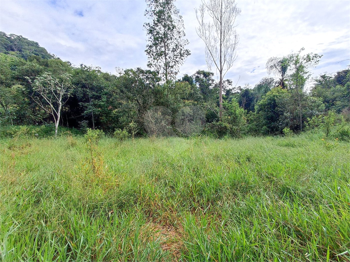 Terreno à venda em Residencial Reserva da Mata, Itapetininga, SP