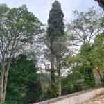 Casa à venda com 4 suítes no condomínio Jardim da Montanha I, Mairiporã - SP