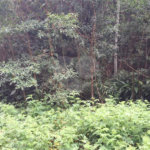 Terreno à venda no condomínio Campos de Mairiporã Gleba 1, Mairiporã - SP