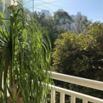 Apartamento à venda com 3 suítes em Lar São Paulo, São Paulo, SP