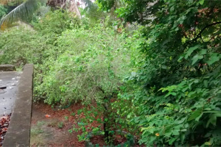Casa Térrea à venda com 3 quartos em Tomazinho, São João de Meriti, RJ