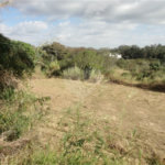 Terreno à venda ou para alugar em Cachoeira, Vinhedo, SP