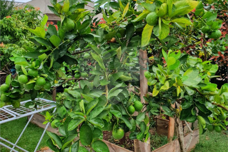 Casa à venda com 3 suítes no condomínio Village Ipanema 1, Araçoiaba da Serra - SP