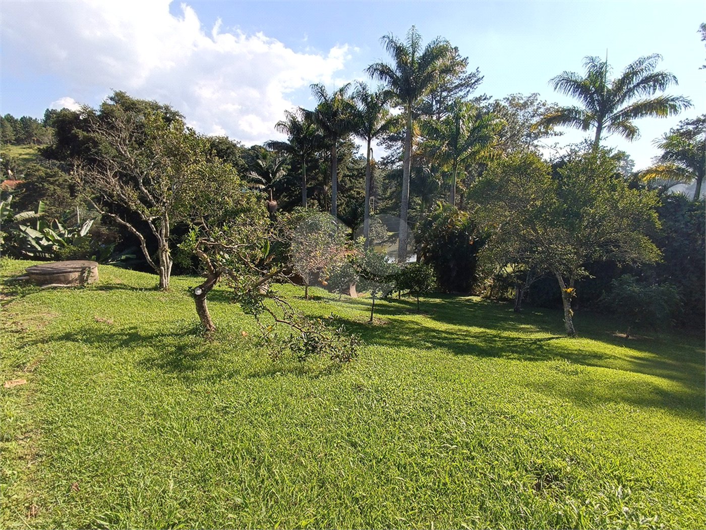 Sítio à venda com 8 suítes em Jardim Vinhas do Sol (mailasqui), São Roque, SP