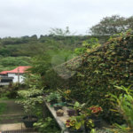 Sobrado à venda com 3 suítes em Serra da Cantareira, Mairiporã, SP
