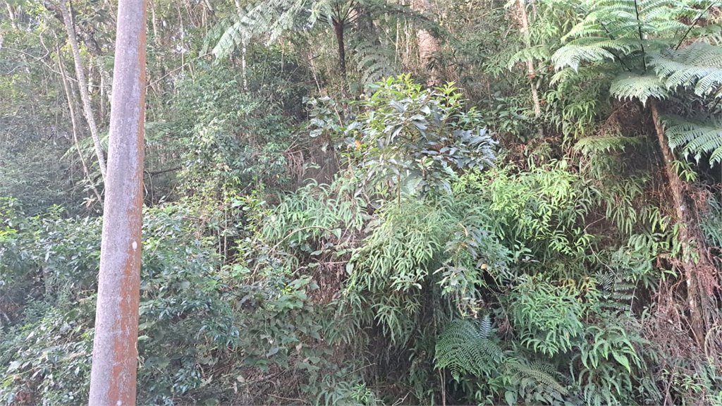 Terreno à venda no condomínio Associação Reserva das Hortênsias, Mairiporã - SP