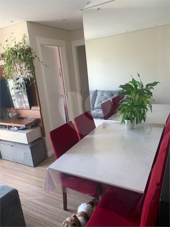 Apartamento à venda com 2 quartos em Parque Reboucas, São Paulo, SP
