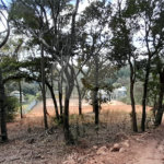 Loteamento à venda em Alpes de Atibaia, Atibaia, SP