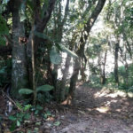 Terreno à venda em Tucuruvi, São Paulo, SP
