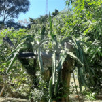 Terreno à venda em Vila Guido, Itu, SP