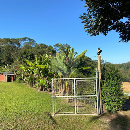 Terreno à venda com 5 quartos, sendo 4 suítes, em Vila Aparecida, Suzano, SP