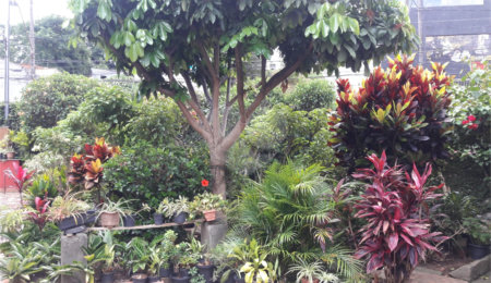 Terreno à venda com 2 quartos em Tremembé, São Paulo, SP