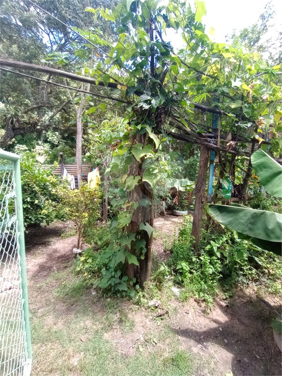 Sítio à venda com 2 quartos em Vila Sottemo, Itapetininga, SP