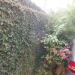 Sobrado à venda com 5 quartos, sendo 2 suítes, em Perus, São Paulo, SP