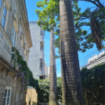 Prédio à venda ou para alugar em Rio Comprido, Rio de Janeiro, RJ