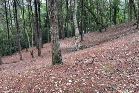 Terreno à venda no Condomínio Rancho Maringá II – Portão, Atibaia/SP | 1.600 m² em meio à natureza