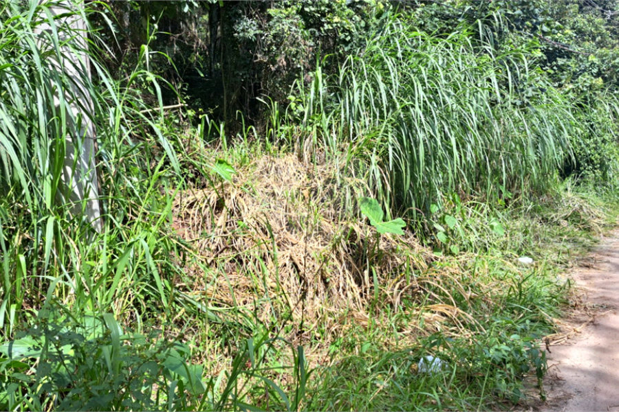 Terreno à venda no condomínio Sausalito, Mairiporã - SP