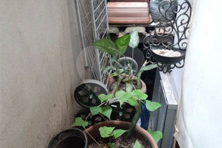 Apartamento à venda com 2 quartos em Vila Isabel, Rio de Janeiro, RJ