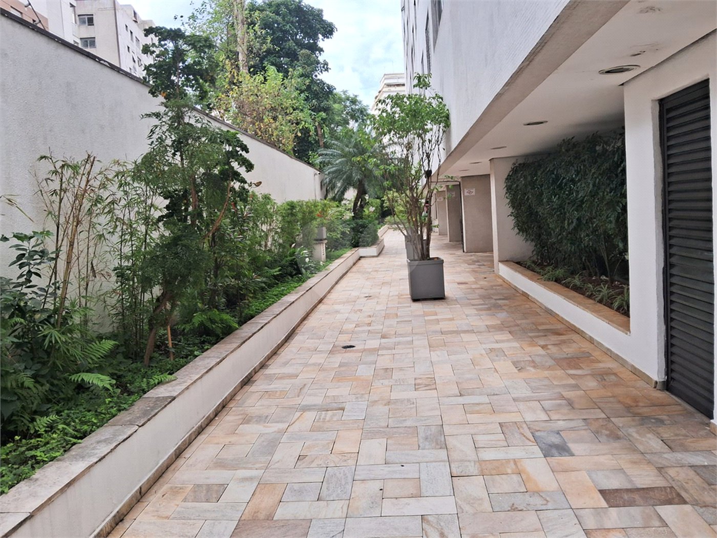 Apartamento à venda com 3 quartos em Vila Mariana, São Paulo, SP