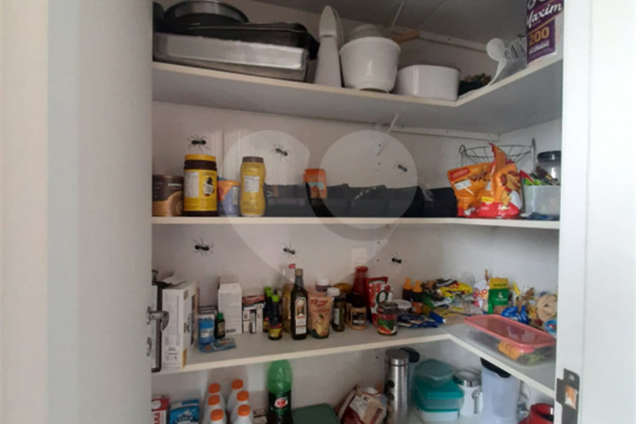 Apartamento à venda com 4 quartos, sendo 1 suíte, em Mandaqui, São Paulo, SP