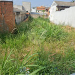 Terreno à venda em Bosque dos Eucaliptos, Valinhos, SP