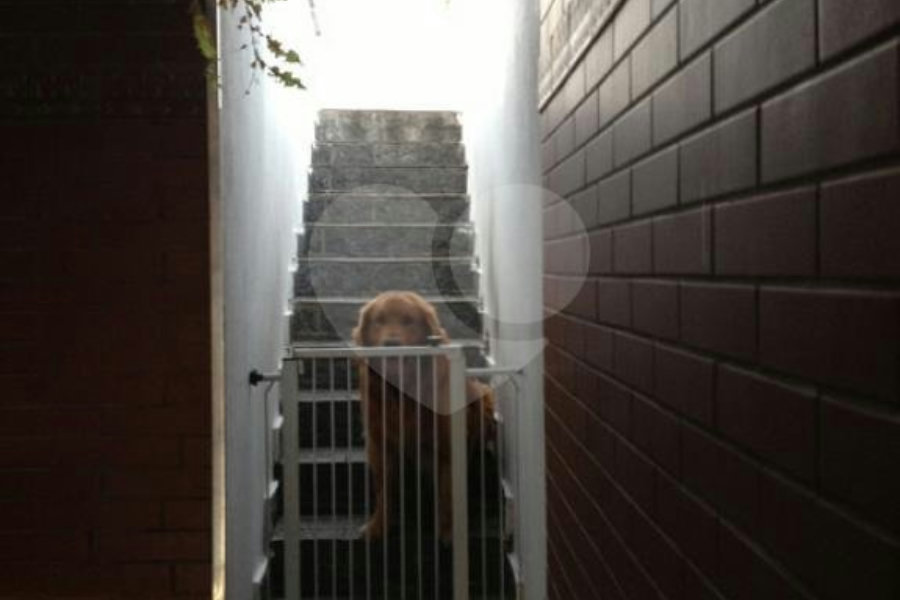 Sobrado à venda com 3 quartos, sendo 1 suíte, em Horto Florestal, São Paulo, SP